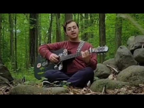 Isaac Rosenblatt - pushet