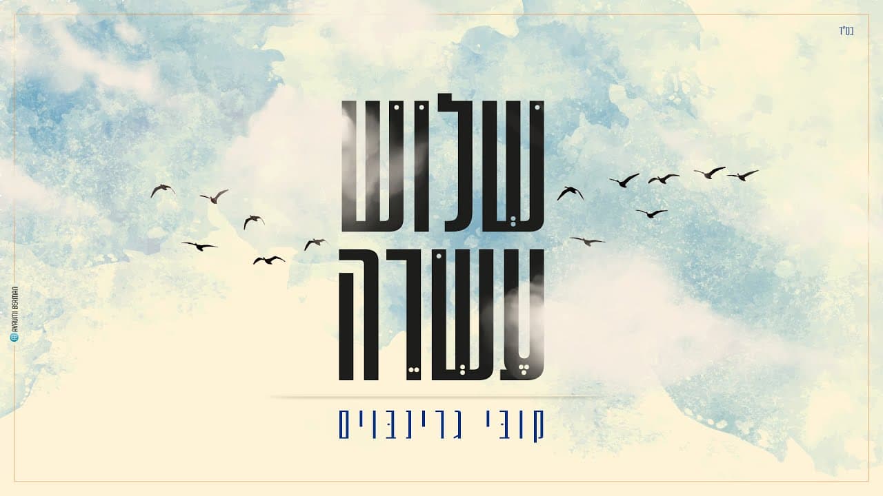 Kobi Grinboim - Thirteen