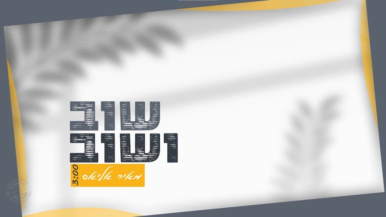 Meir - Shuv V'shuv