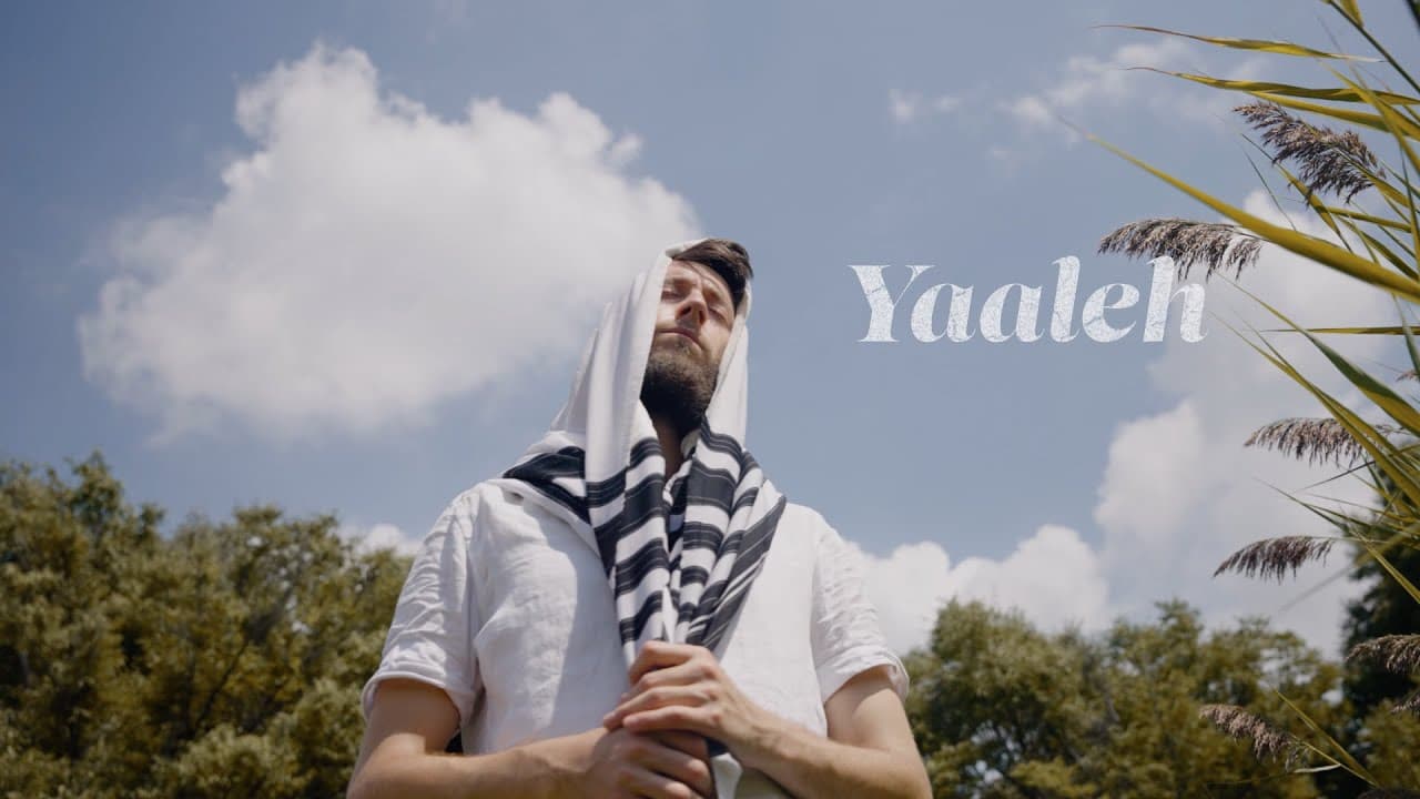 Rogers Park - Yaaleh