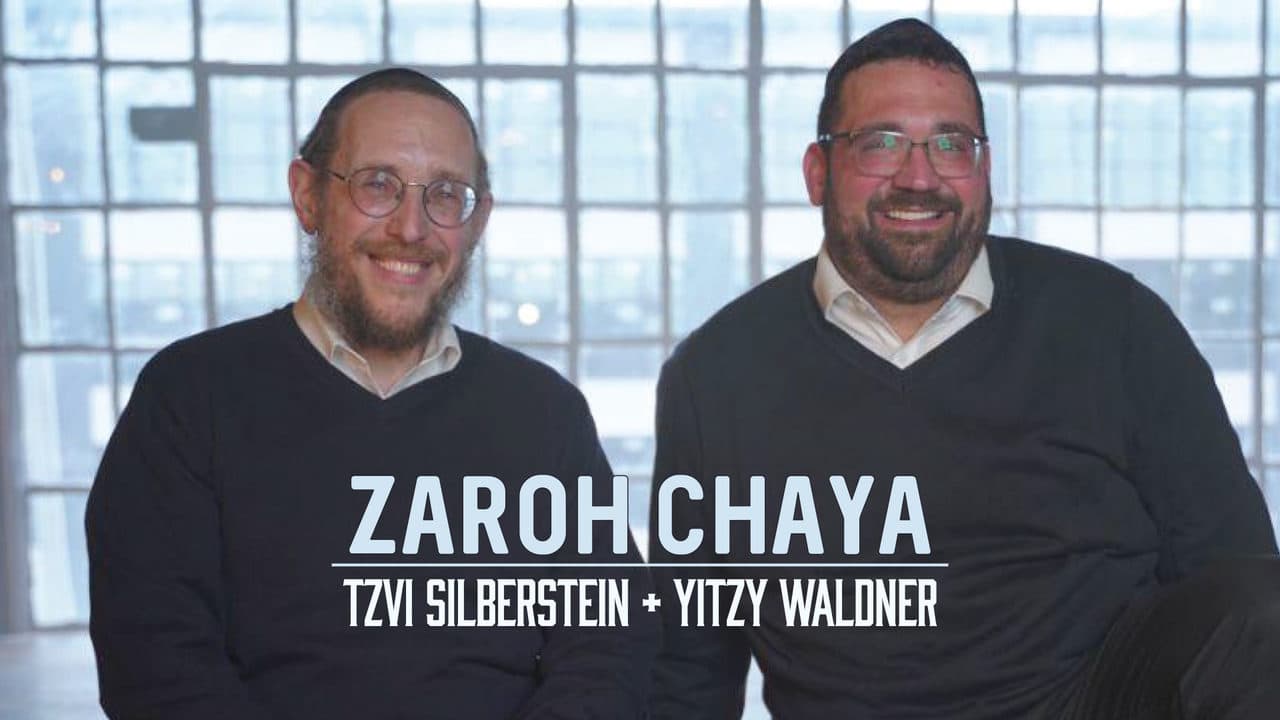 Tzvi Silberstein & Yitzy Waldner - Zaroh Chaya