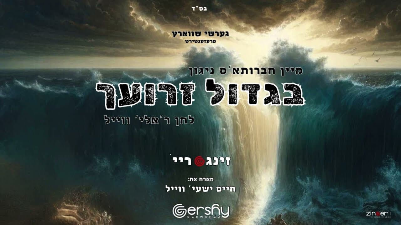 Gershy Schwartz & Chaim Shaye Weil - Bigdoil Zeroyachu