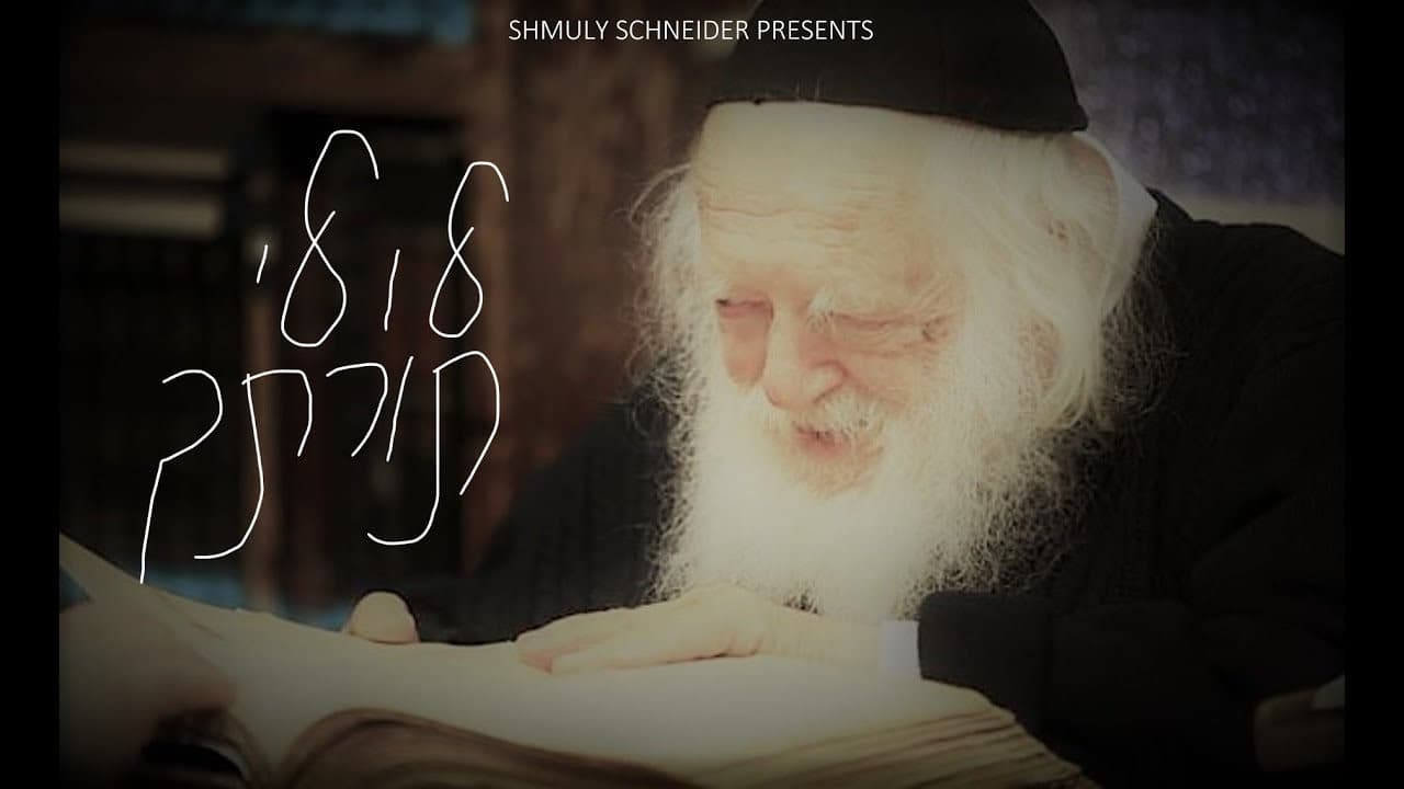 Shmuly Schneider - Lulei Sorascha