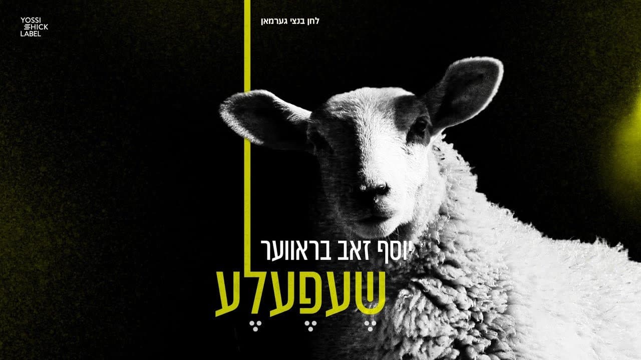 Yosef Zev Braver - Shefele