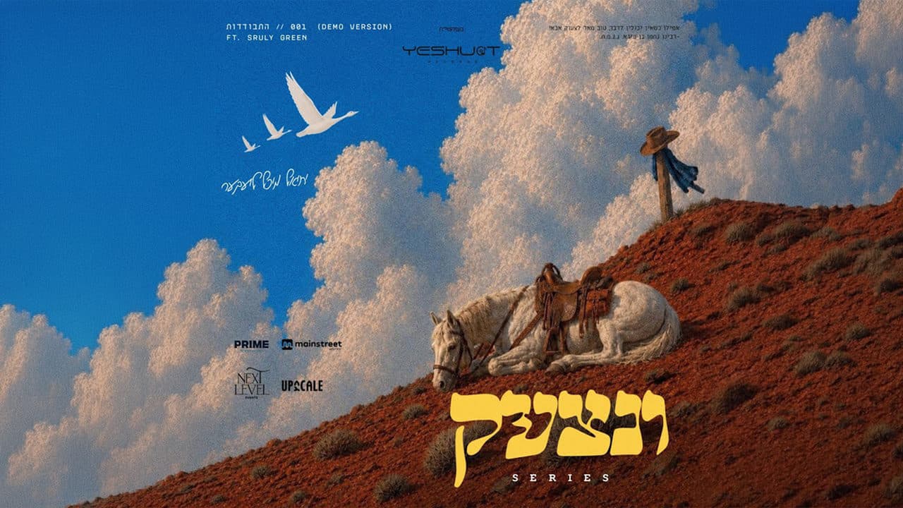 Mechel Leiber Ft. Sruly Green - Vanitzaak