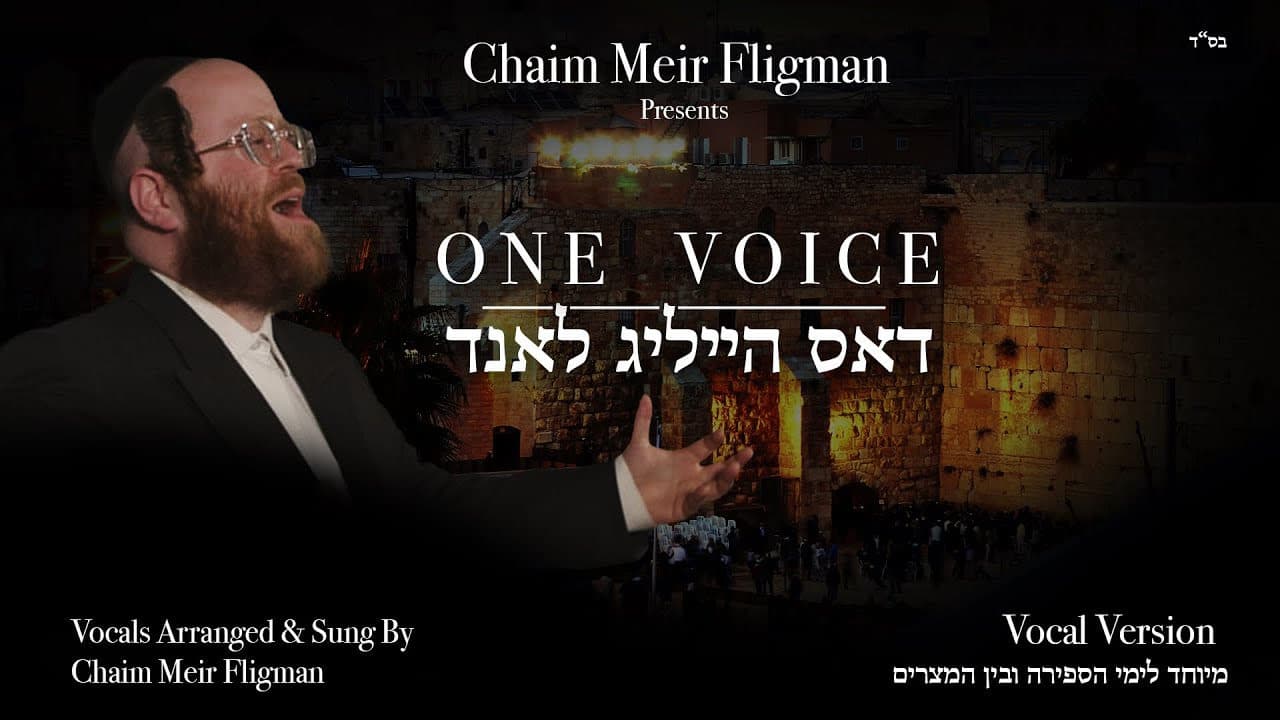 Chaim Meir Fligman - One Voice (Vocal)