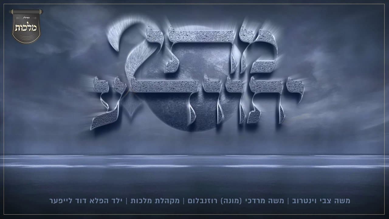 Moshe Weintraub & Child Solo David Leifer - Mosei Yisvada