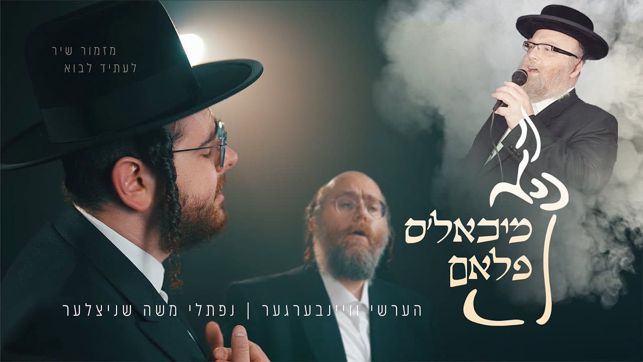 Hershy Weinberger & Naftali Schnitzler - Michoel's Flam