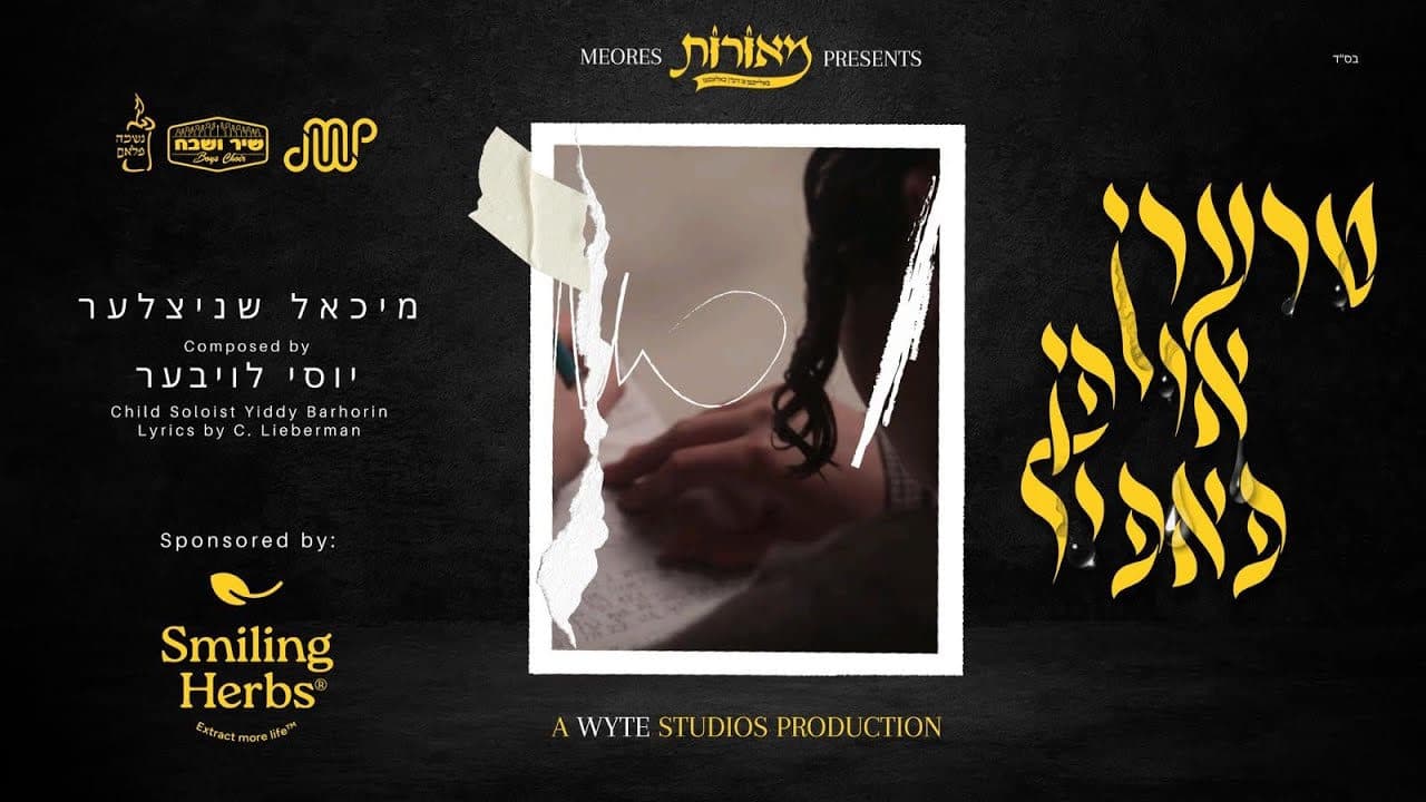 Michoel Schnitzler - Tears On Paper