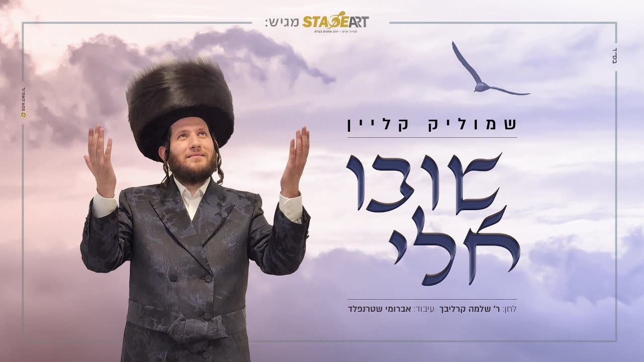 Shmulik Klein - Shuvi Elei (Cover)