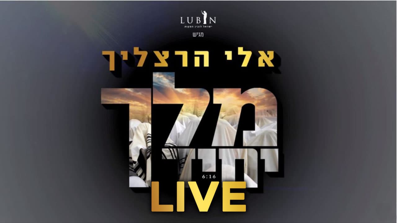 Eli Hertzlich - Melech Yochid (Live)