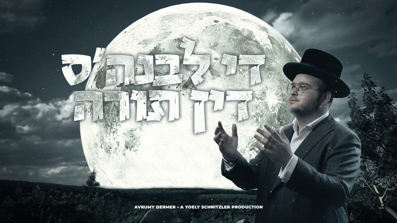 Avrumy Dermer - The Levunah's Din Torah
