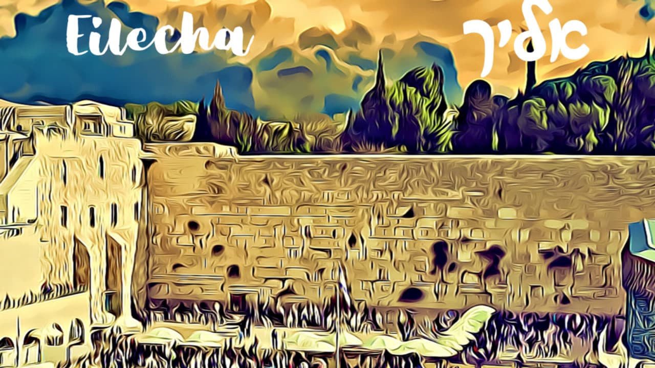 Eitan Katz - Eilecha (Vocal)