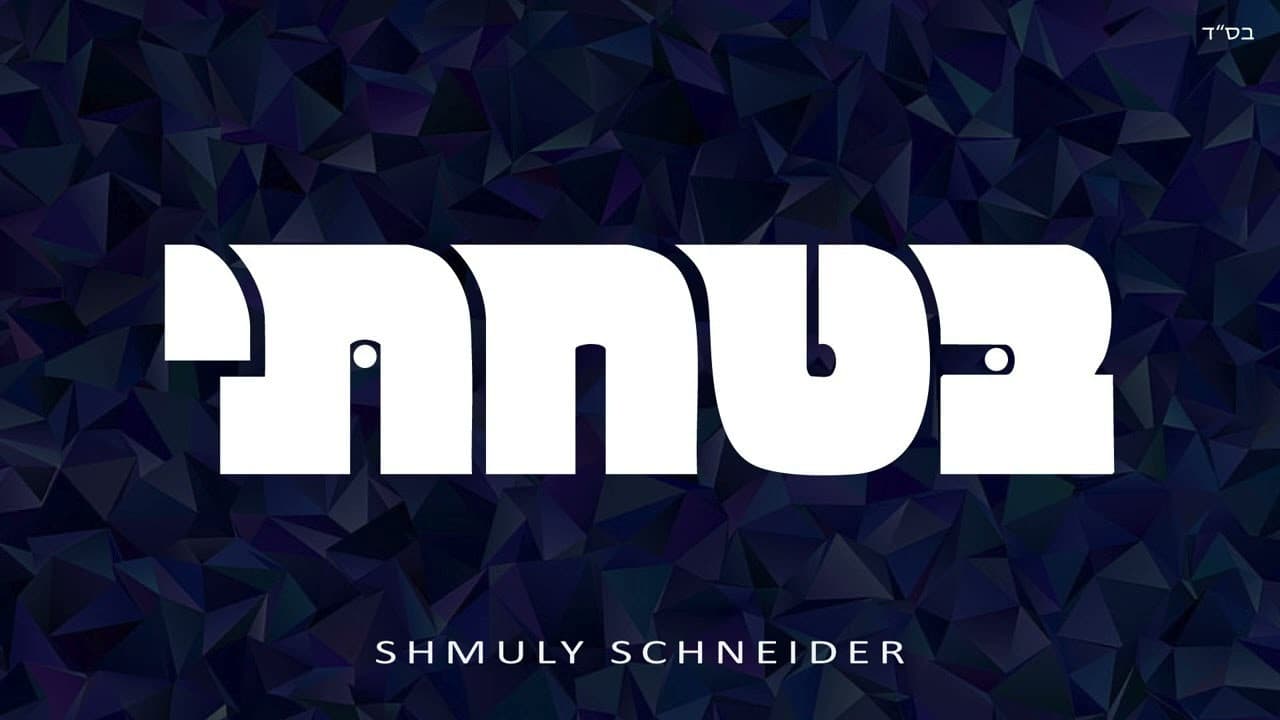 Shmuly Schneider - Batachti