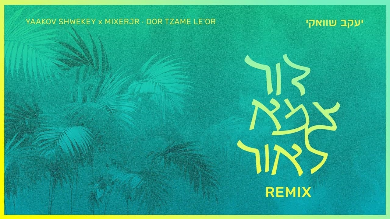 Yaakov Shwekey x MixerJR - Dor Tzame Le'or (Remix)