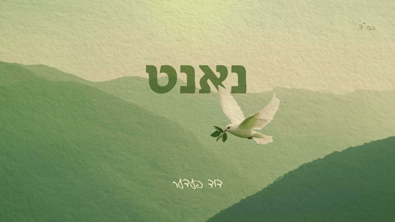 Duvid Feder - Close