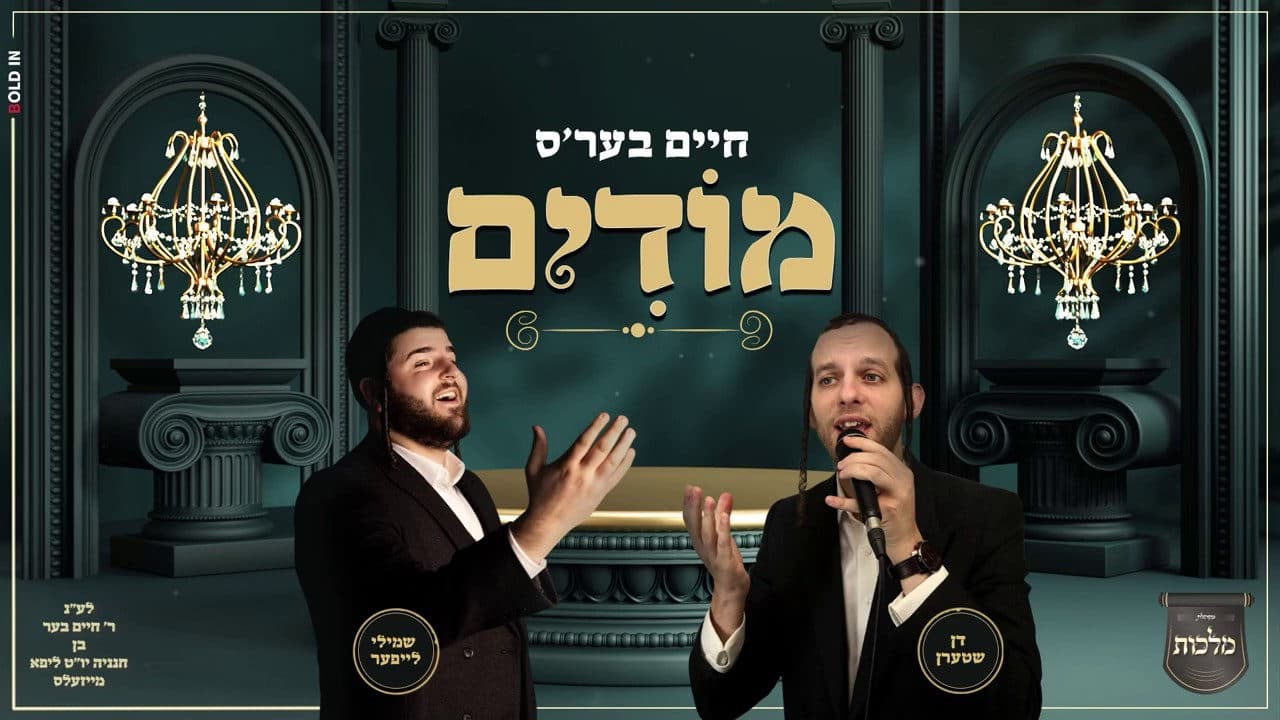 Don Stern & Shmili Leifer - Chaim Ber's Modim