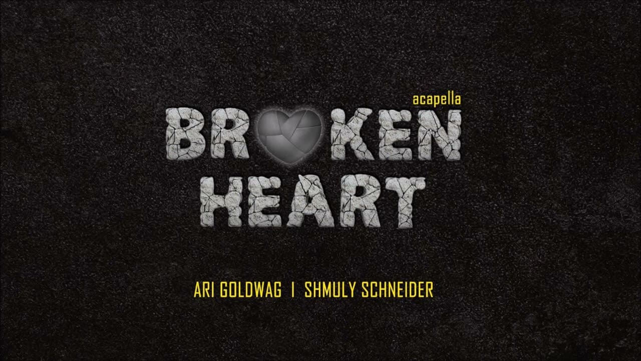 Ari Goldwag & Shmuly Schneider - Broken Heart (Vocal)