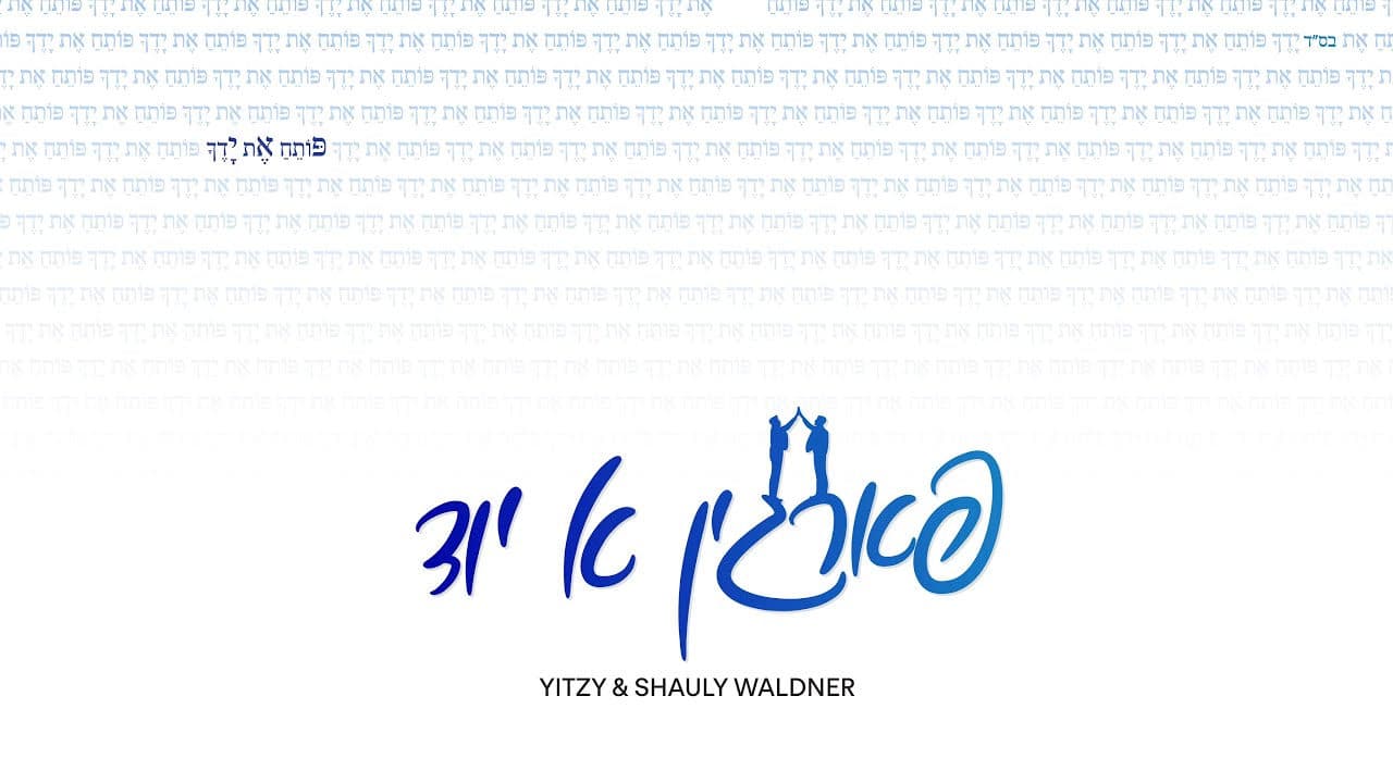 Yitzy & Shauly Waldner - Fargin A Yid