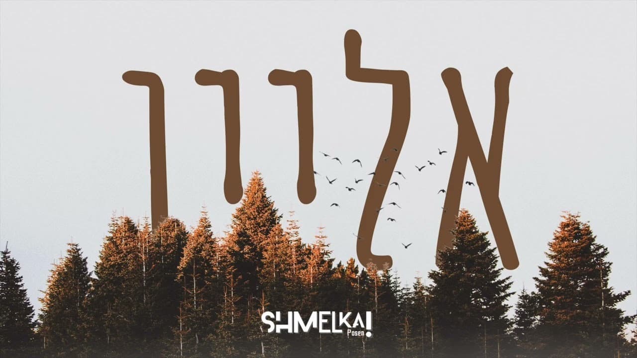 DJ Shmelka Posen Ft. Sruly Green - Alone