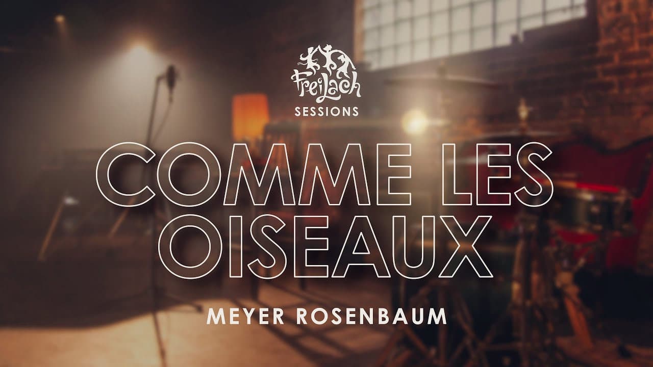 Freilach Band Feat. Meyer Rosenbaum - Comme Les Oiseaux