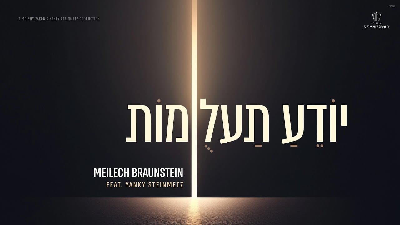 Meilech Braunstein Ft. Yanky Steinmetz - Yodeah Ta'alumos