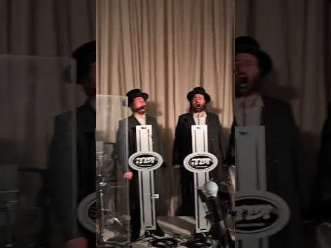 קומזיץ מרגש 🥹 בחתונה בטורונטו קנדה 🇨🇦 תזמורת פריילאך