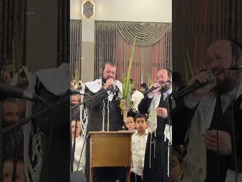 "הלל מוזיקלי" מוטי ויזל 🎤 יוסל לייפער 🎤 מקהלת קאפלה 🎤🎶💜💜💜