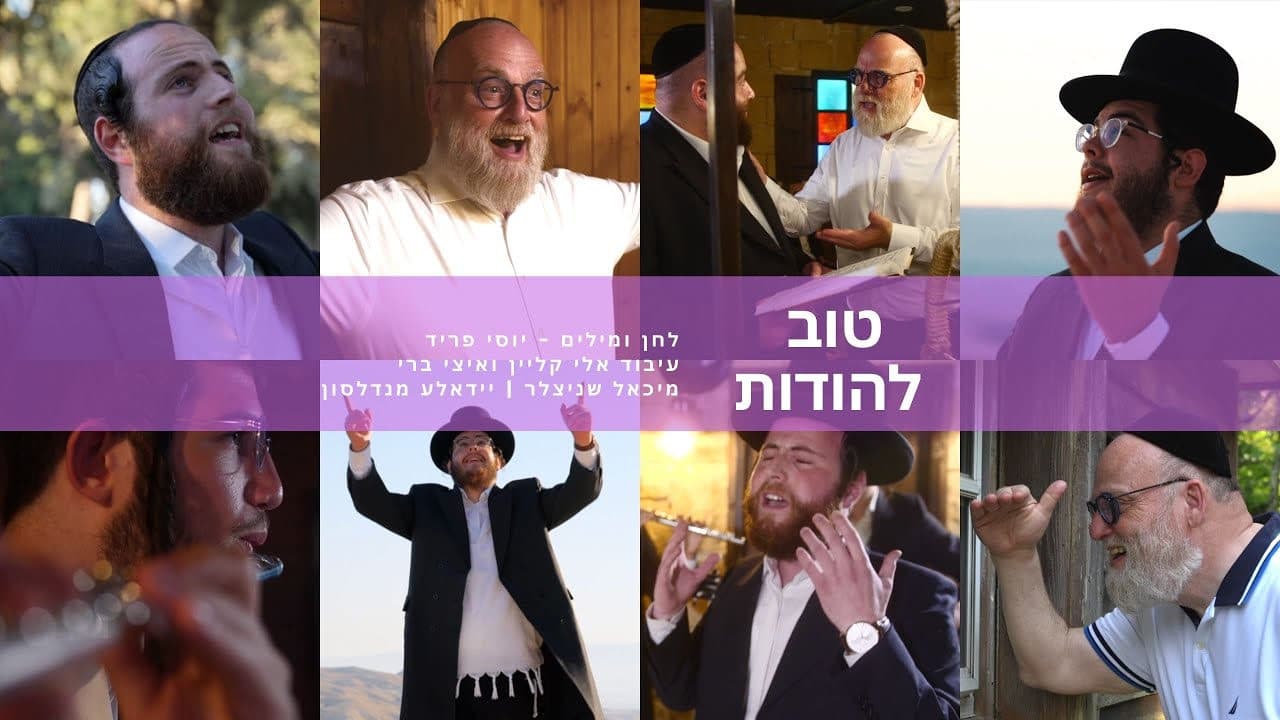 Michoel Schnitzler & Yidele Mendelson - Tov Lehodos