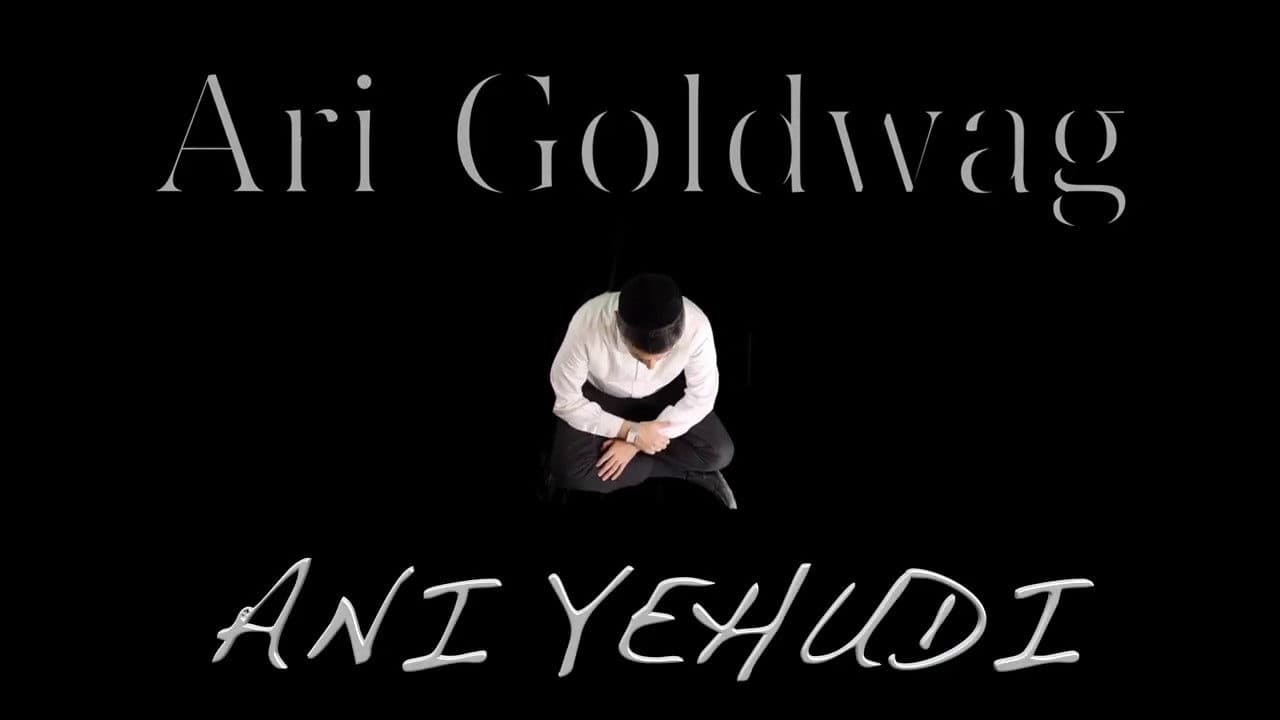 Ari Goldwag - Ani Yehudi