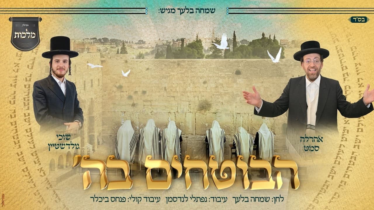 Ahrele Samet & Suchy Goldstein - Habotchim Bashem